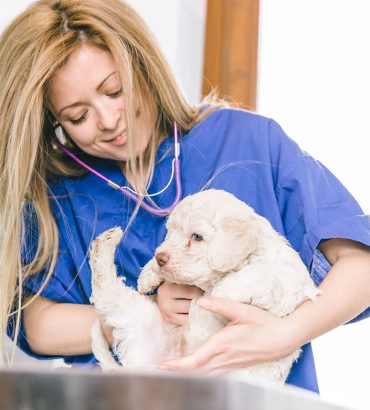 Brookehill Care